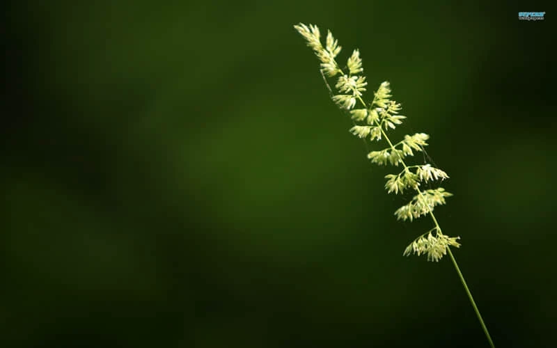 为什么模拟训练是篮球发展的重要环节_2